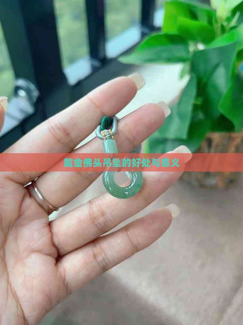 金頭是什么意思 金頭是什么意思 龍魚論壇 第5張