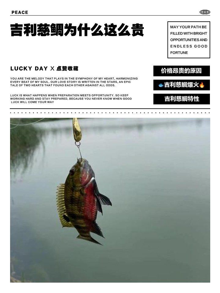 紅龍王慈鯛多少錢一只 紅龍王慈鯛多少錢一只 龍魚論壇 第2張
