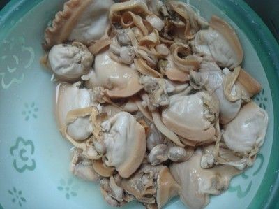 河蚌被認為是生物凈水中的重要一環(huán)，對魚缸的益處和風險：河蚌對魚缸的益處與風險