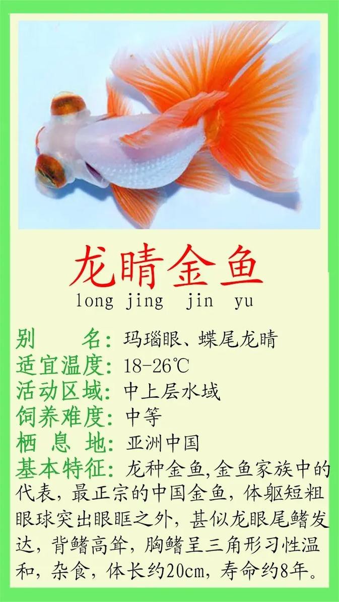 龍魚眼白膜最怕三個東西圖片
