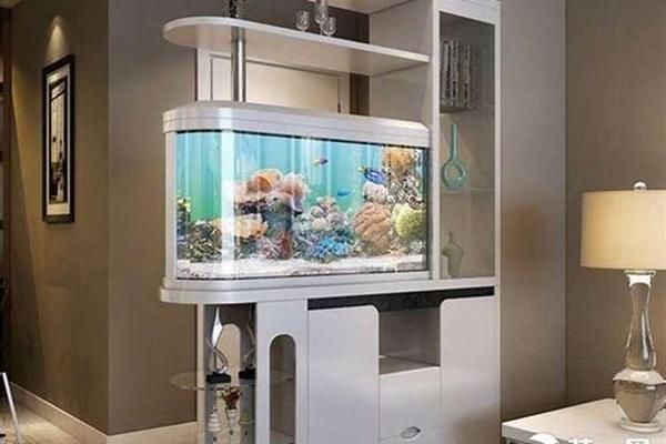 方魚缸好嗎：方形魚缸適合養哪些魚