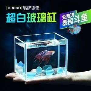 好魚缸有那些品牌（好魚缸有那些品牌好魚缸有那些品牌）
