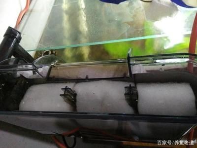 魚缸過濾器安裝步驟（魚缸過濾器安裝步驟,安裝魚缸過濾器是一項重要任務）