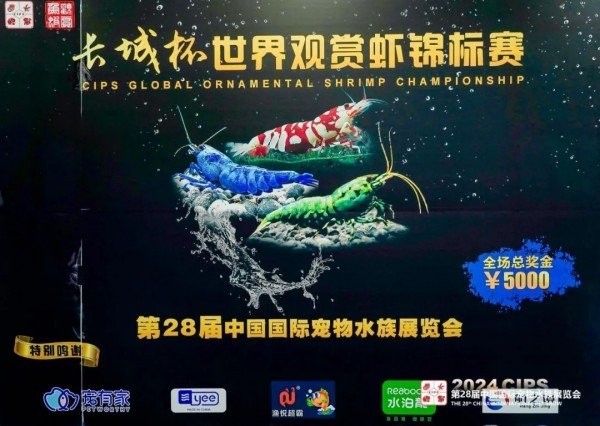 長城杯觀賞蝦錦標(biāo)賽有哪些歷屆冠軍？