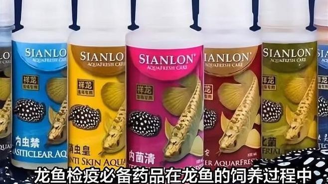 龍魚常備藥物是什么