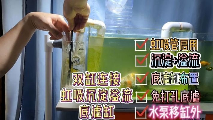 兩個魚缸連接：魚缸串聯的過濾系統設計
