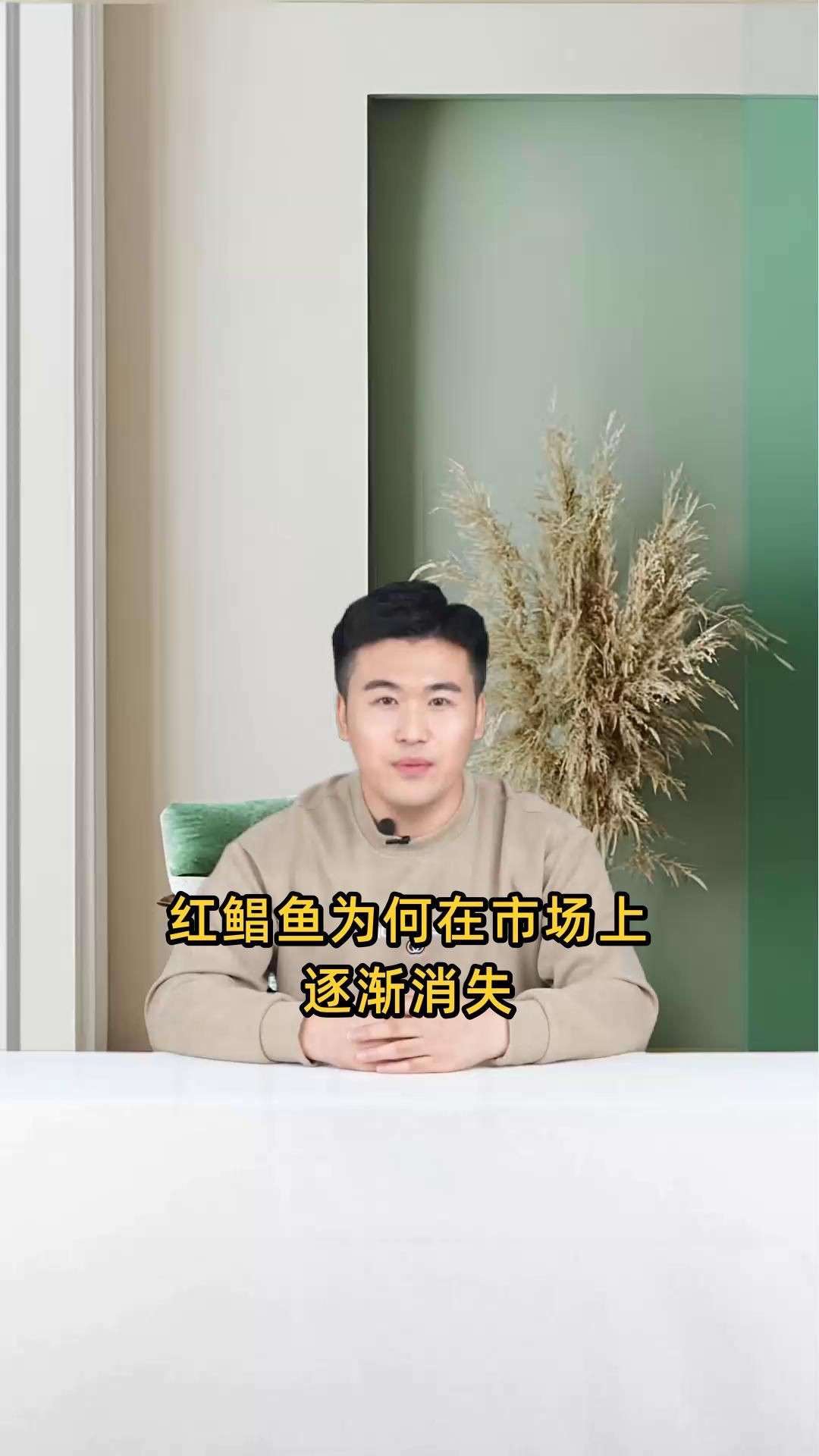 紅鯧魚為什么那么便宜