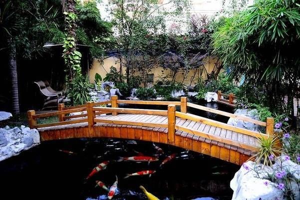 魚缸可以只加水不換水嗎：魚缸只加水不換水的方法是可行的，但需要滿足一定條件