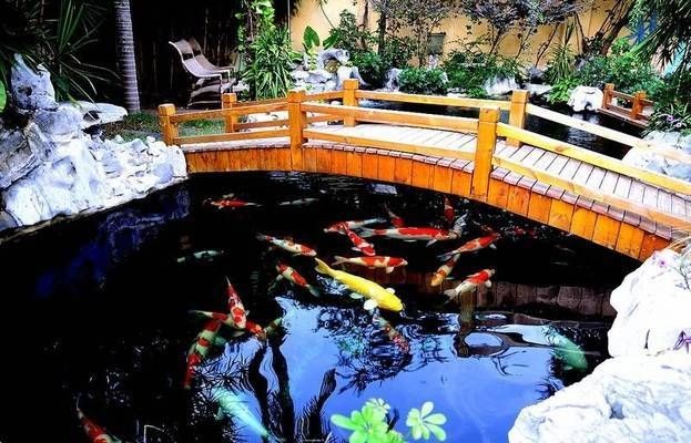 魚缸可以只加水不換水嗎：魚缸只加水不換水的方法是可行的，但需要滿足一定條件