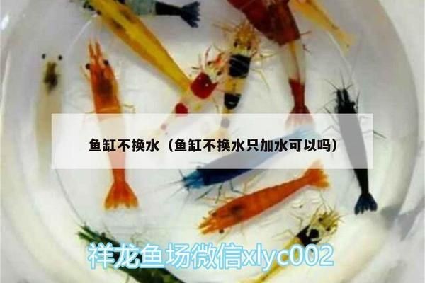 魚缸可以只加水不換水嗎：魚缸只加水不換水的方法是可行的，但需要滿足一定條件