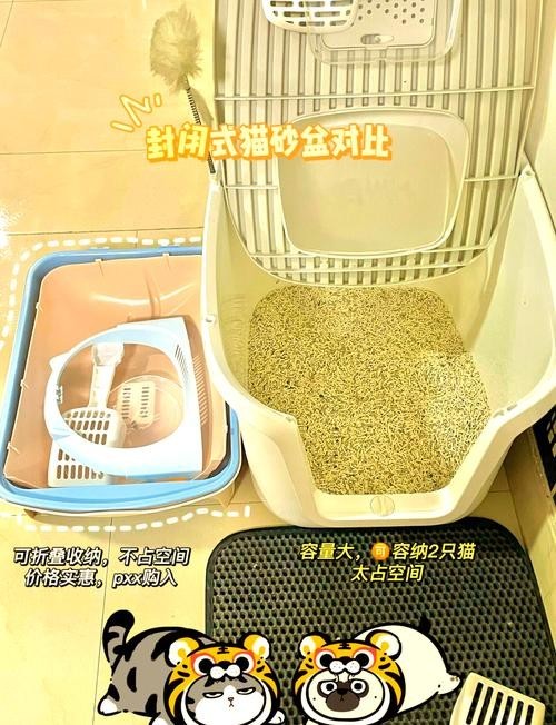 龍貓和貓哪個更適合新手？