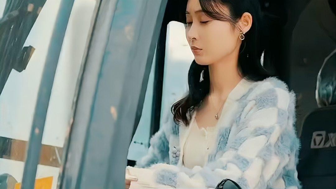龍貓和貓哪個更適合新手？