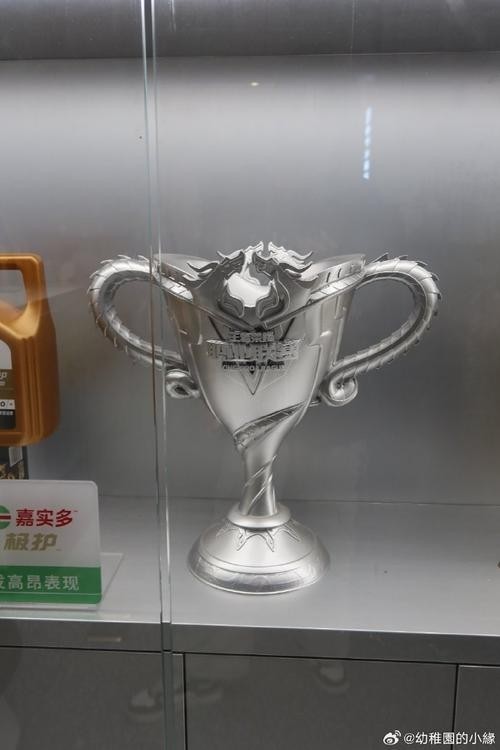 銀龍杯的制造材料是什么？