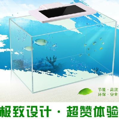 水活力魚缸：水活力魚缸適合養哪些魚類水活力魚缸與其他品牌對比
