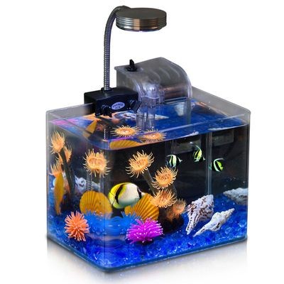 水活力魚缸：水活力魚缸適合養哪些魚類水活力魚缸與其他品牌對比