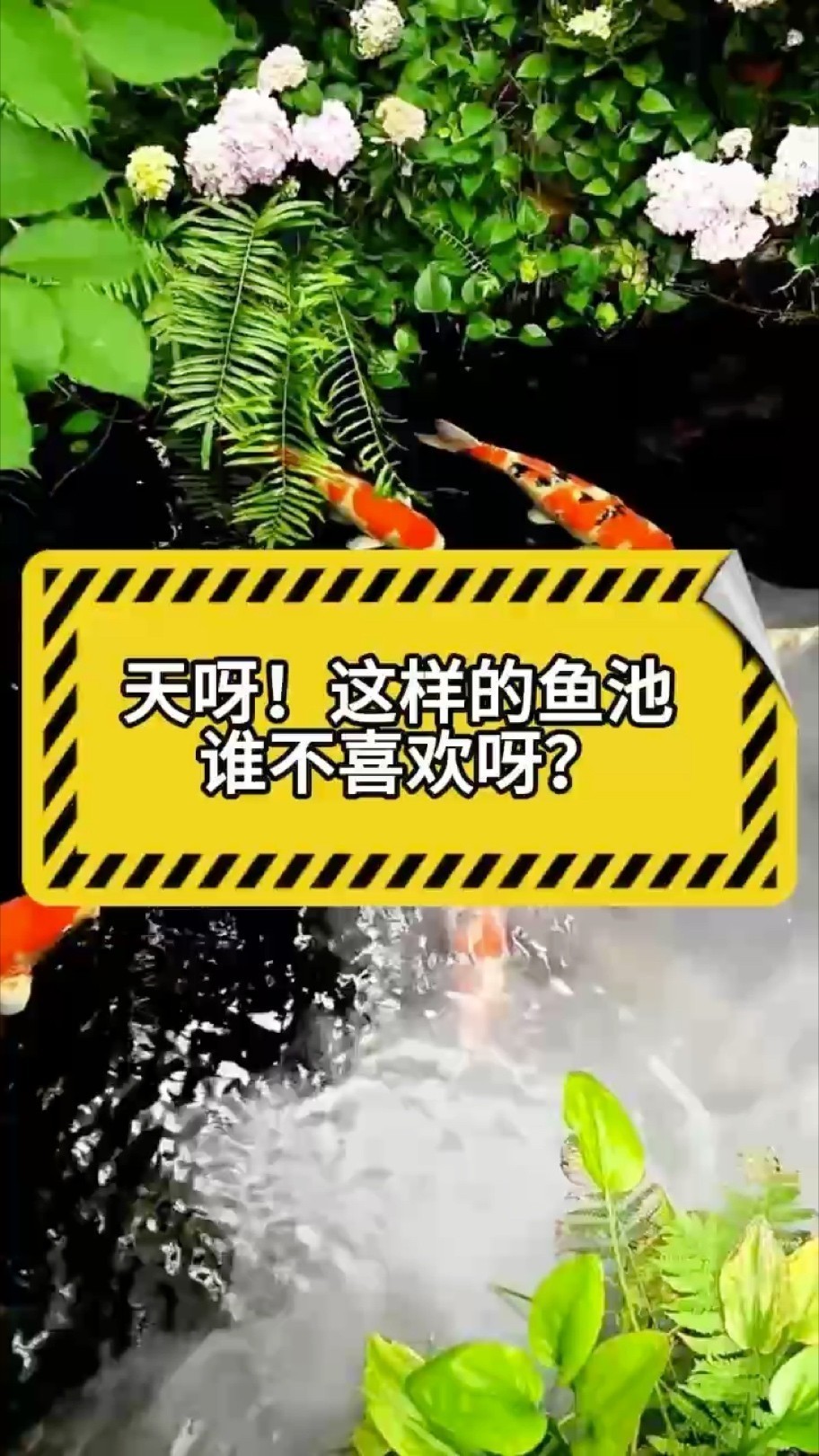 這樣的魚池你喜歡么