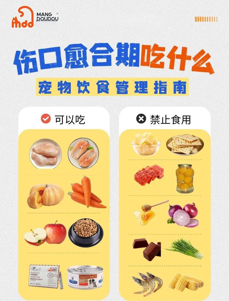 過背金龍七鰭受傷需要停食多久？