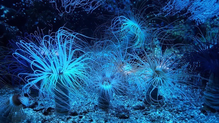 全椒縣新穎一站式水族超市（全椒縣新穎一站式水族超市地址）