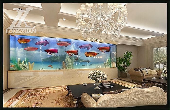 龍魚(yú)缸哪個(gè)品牌最好最先進(jìn)的產(chǎn)品