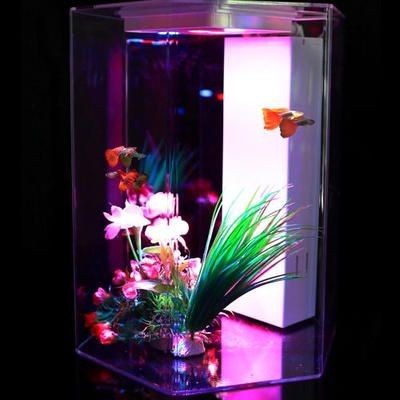可麗愛魚缸有幾個系列（可麗愛水族箱共有30多種外形款式與超過百種的規格）
