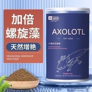 六角恐龍魚飼料：六角恐龍魚飼料品牌推薦