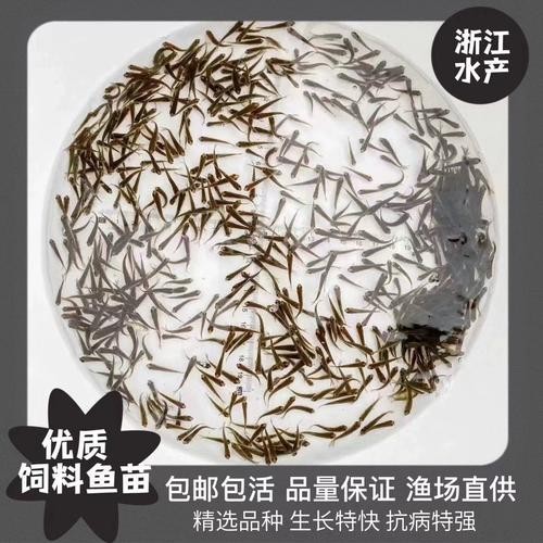 龍魚吃的小魚在哪買