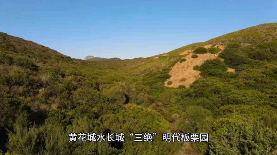 水長城的開放時(shí)間是？ 水長城的開放時(shí)間是？ 2025長城杯龍魚大賽 第9張