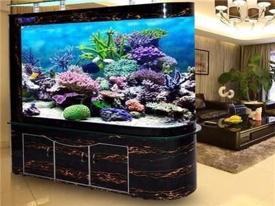 2024年高端魚缸排行榜：水族箱材質(zhì)對比了解不同材質(zhì)魚缸的優(yōu)缺點：2024年高端魚缸品牌排行榜