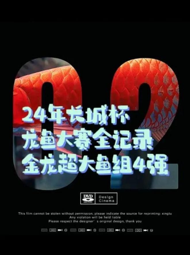 龍魚比賽 2025長城杯龍魚大賽 第6張 龍魚比賽 龍魚比賽 2025長城杯龍魚大賽 第6張