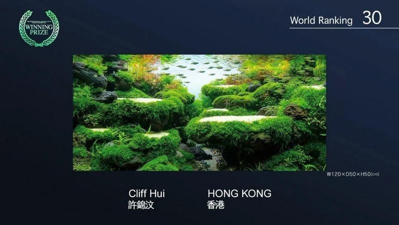 有哪些國內(nèi)知名水草造景師？
