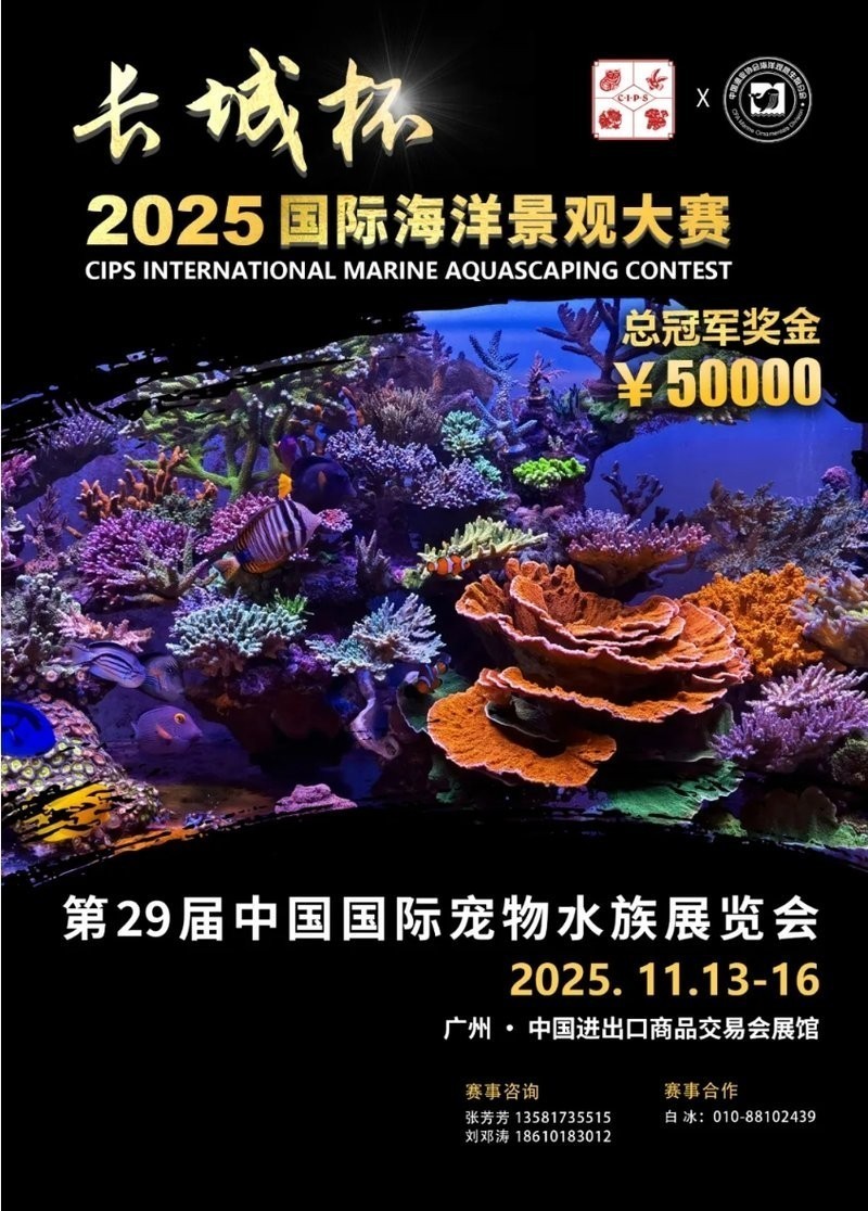 如何參與2025年長城杯龍魚比賽？