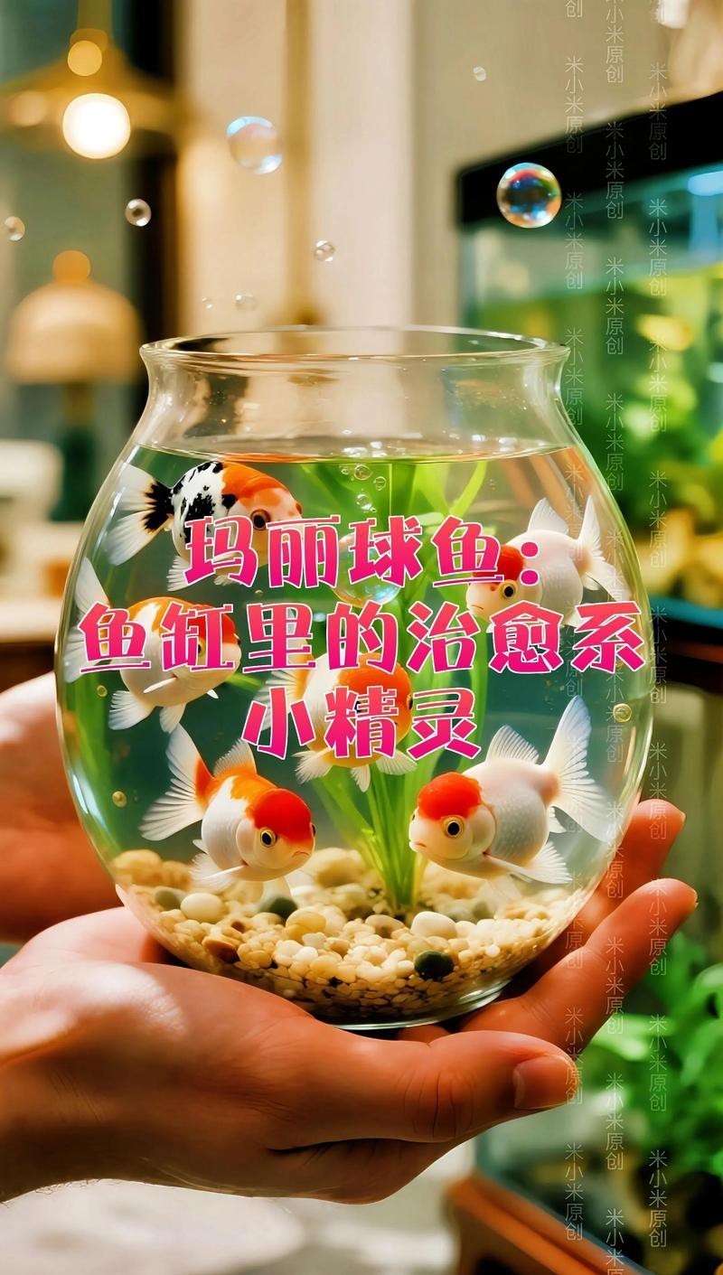 球魚萬的圖片大全