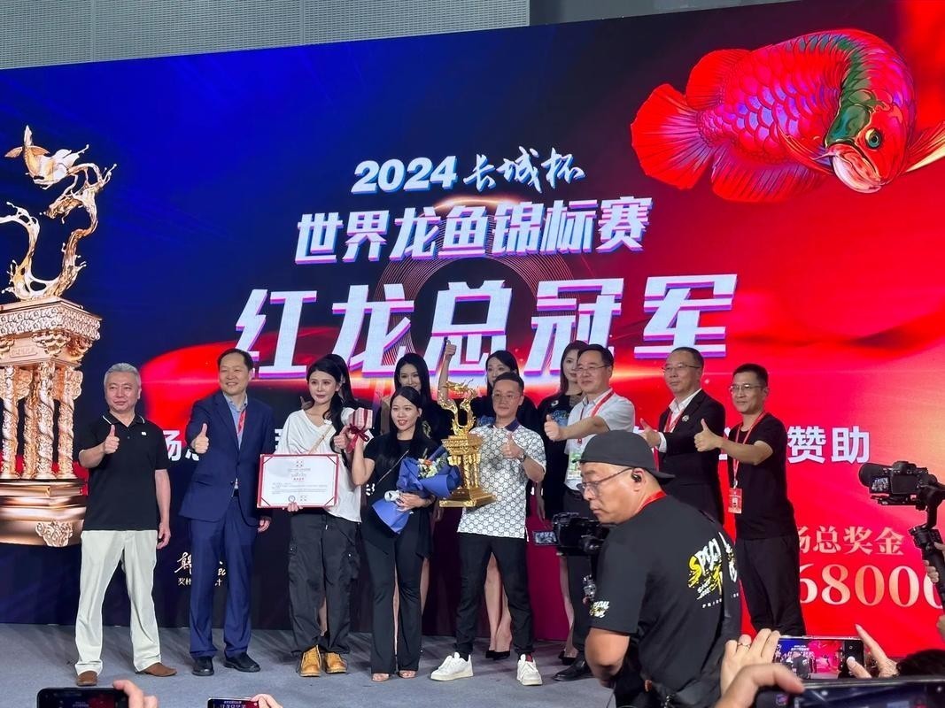 上海長城杯紅龍魚比賽