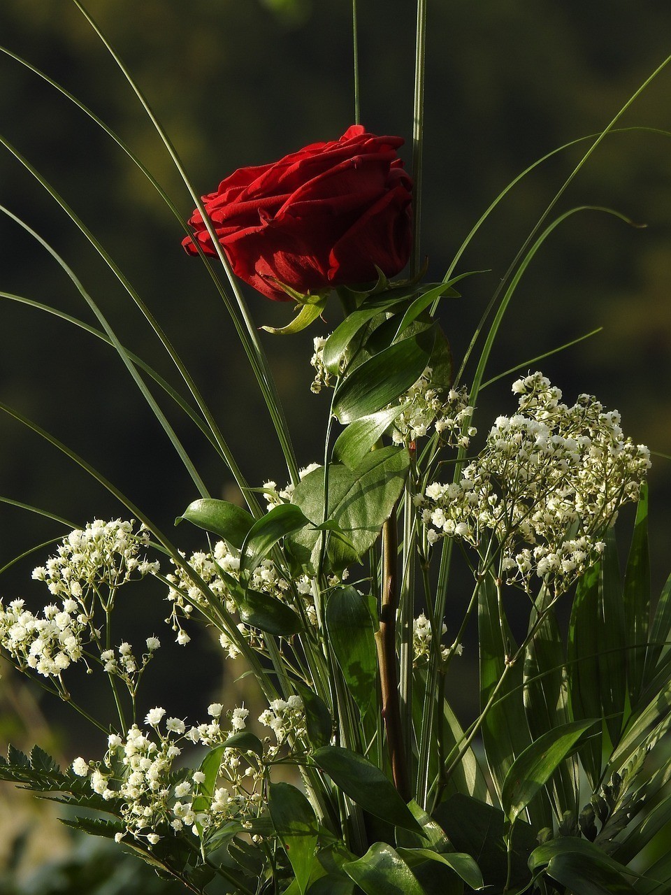 沈陽綠藝花卉租賃有限公司與眾多花卉供應商合作的經驗分享