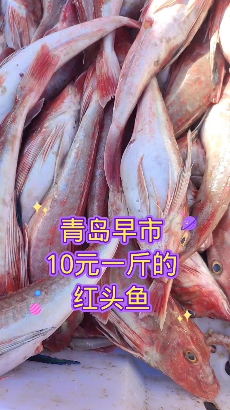 紅頭魚多少錢一斤市場價