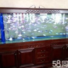 新買來的魚缸怎樣清洗和消毒：剛買來的魚缸不應該直接養魚，而是需要注意以下幾點