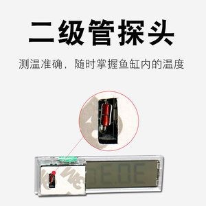 魚缸更換感溫探頭步驟：魚缸更換感溫探頭步驟詳解 魚缸更換感溫探頭步驟：魚缸更換感溫探頭步驟詳解 魚缸百科 第5張