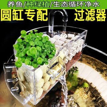 養龍魚花費大嗎 養龍魚花費大嗎 龍魚百科 第2張