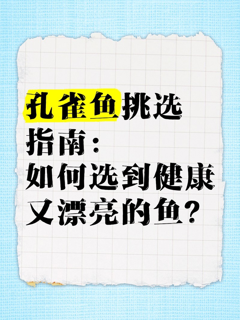 如何挑選健康的孔雀魚？