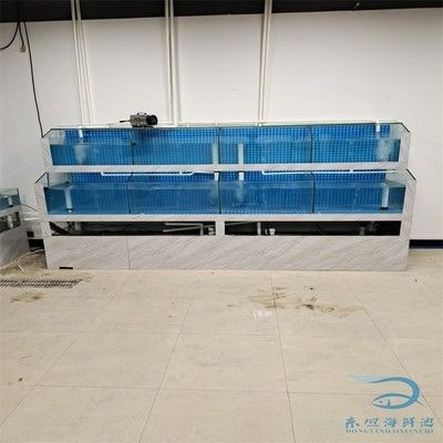 海鮮魚缸設計，你需要了解的知識：海鮮魚缸的設計