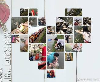 佛說放生的魚回頭轉了一個圈