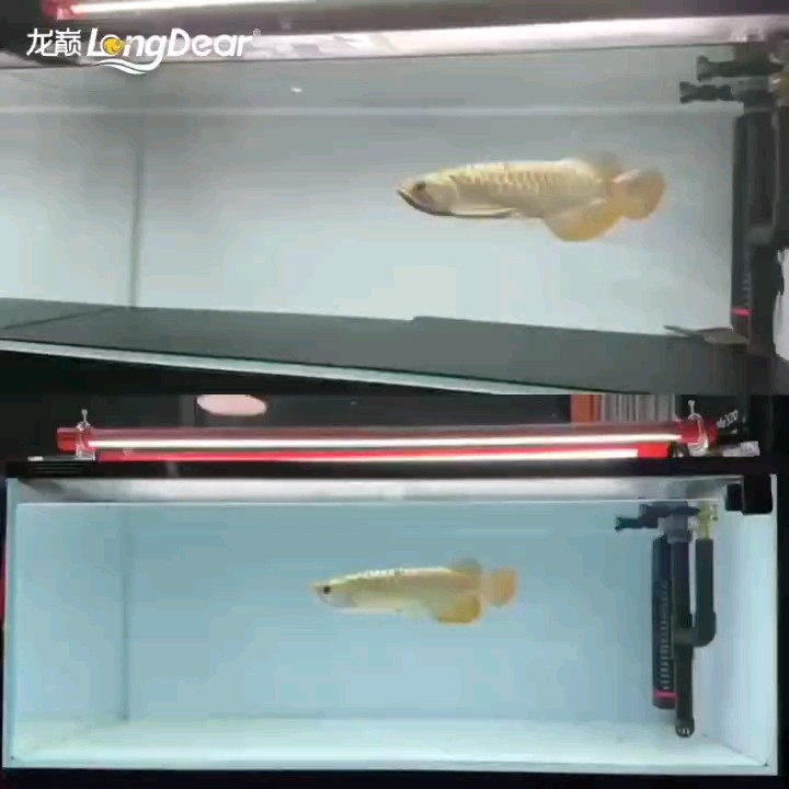 轉發835