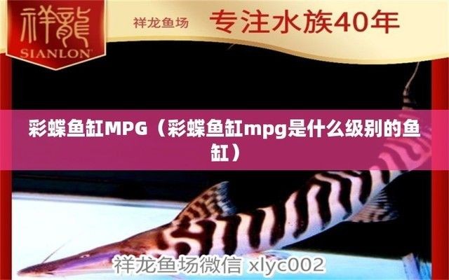 魚缸品質(zhì)等級排名，魚缸品牌性價比對比