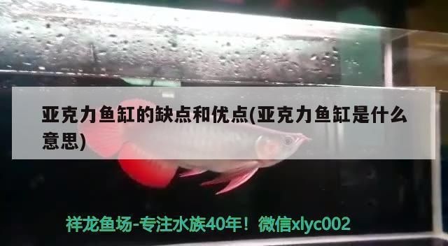 亞克力魚缸怎么樣：亞克力魚缸與玻璃魚缸對比