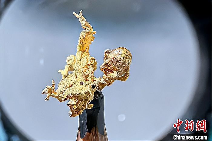 有沒有黃金龍的藝術作品欣賞？