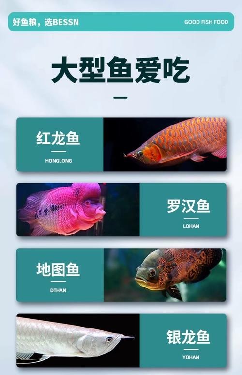 龍魚(yú)飼料哪個(gè)牌子最好