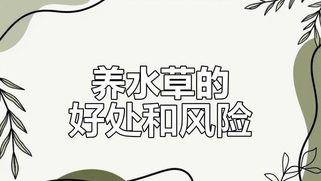 哪里可以購買到高品質的龍魚？