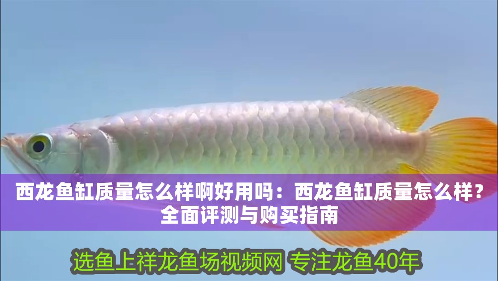 西龍魚缸質量怎么樣啊好用嗎：西龍魚缸質量怎么樣？全面評測與購買指南