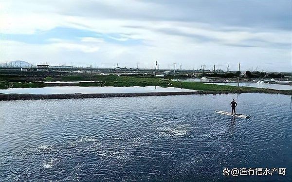 河里毒魚藥哪種最好