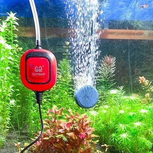 魚缸增氧技術的發展趨勢：海利魚缸氧氣泵的安裝 魚缸增氧技術的發展趨勢：海利魚缸氧氣泵的安裝 魚缸百科 第1張